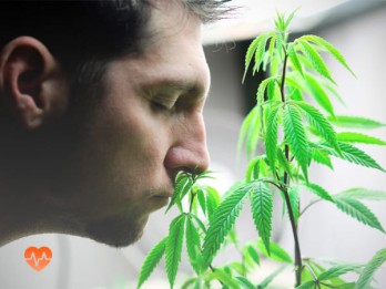 Детоксикация от марихуаны в Когалыме